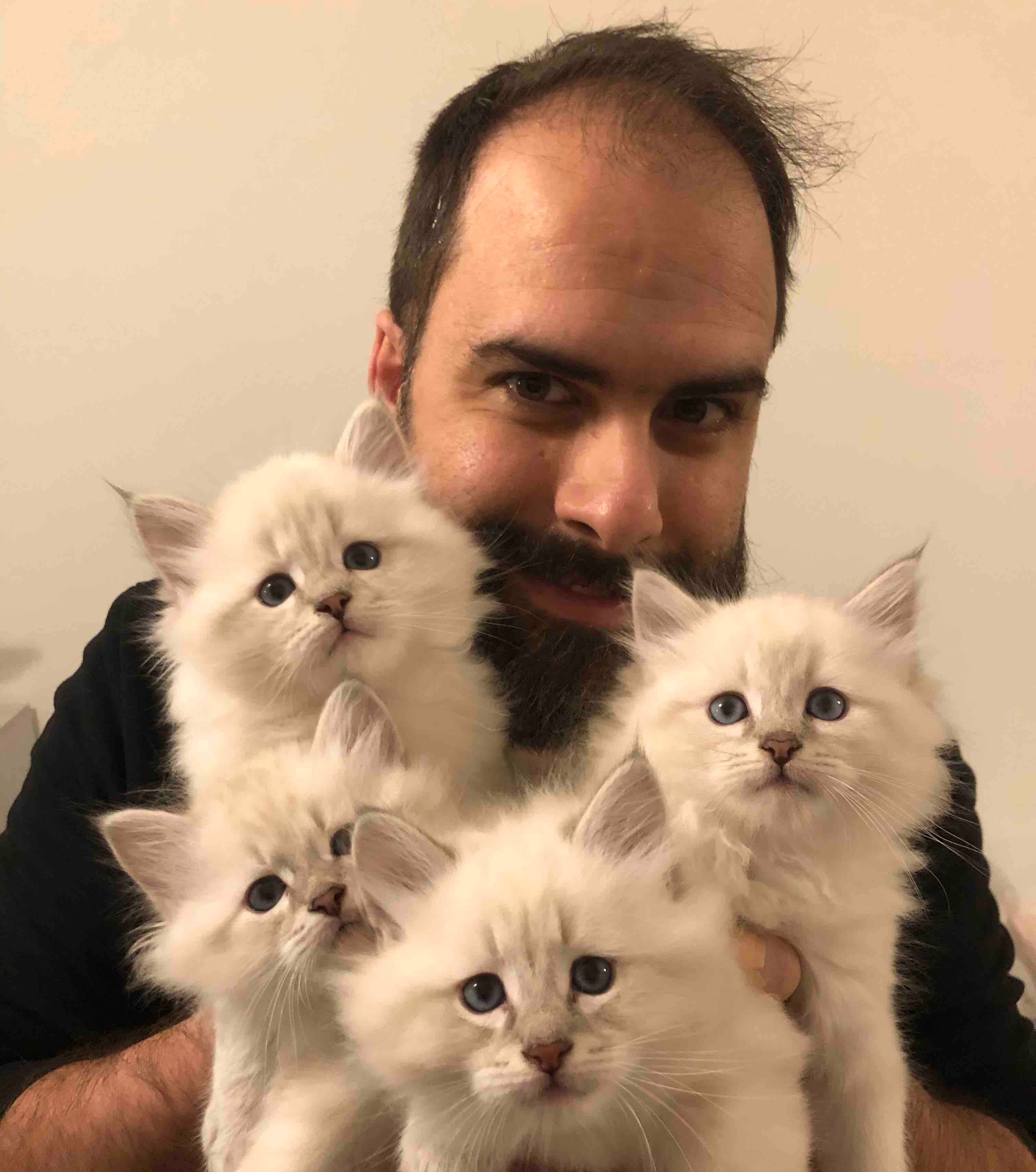 Foto di Nicola Stefani